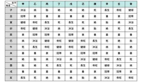 四長生|四柱推命の十二運とは？年柱・月柱・時柱とあわせて。